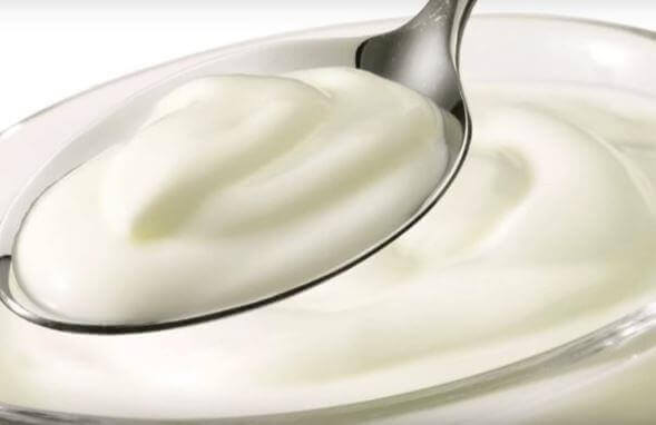 neem probiotica in een ontstekingsremmend dieet