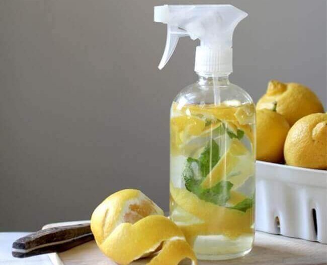 Spuitfles met citrusvruchten