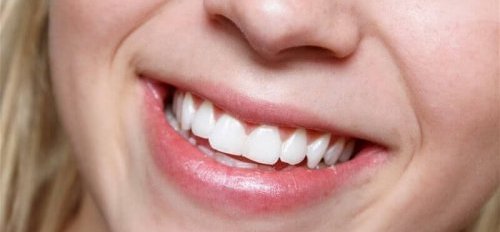 Aloëvera is geweldig voor de gezondheid van de tanden