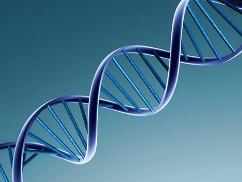 DNA van tweelingen