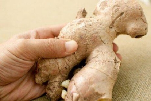 De eigenschappen van gember