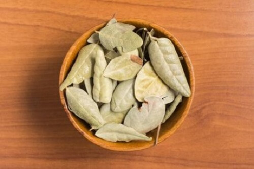 Maagpijn voorkomen met boldo