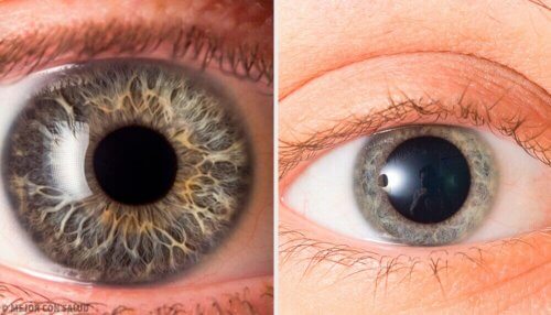 Kijk naar de pupillen om te zien of iemand tegen je liegt