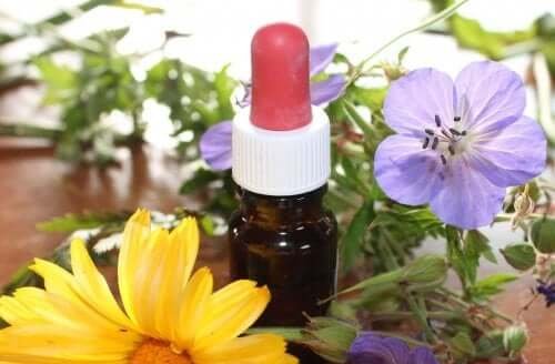 Etherische geurige oliën en het zenuwstelsel