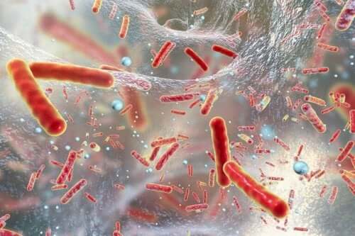 Bacteriën in de lucht