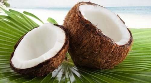 Kokosnoten op een tropisch eiland
