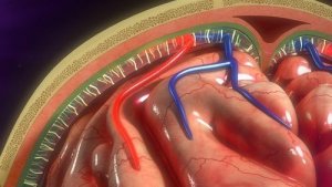 Een infuuspomp: hoe te gebruiken en patiëntenzorg