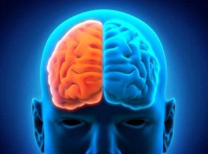 Een hemisferectomie en de postoperatieve periode