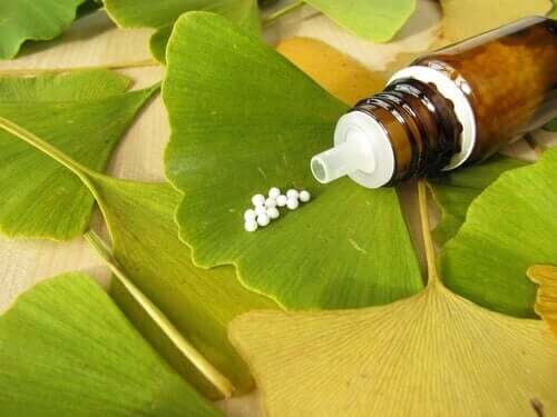 Ginkgo biloba pilletjes