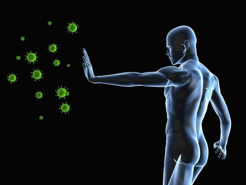 Hoe virussen en het immuunsysteem werken