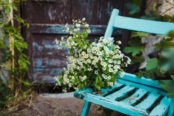 Oude stoel met bloemen