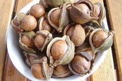 macadamia's zijn een van de minder bekende notensoorten