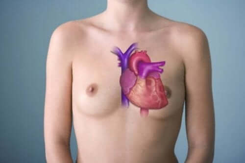Het verbetert de gezondheid van hart en bloedvaten