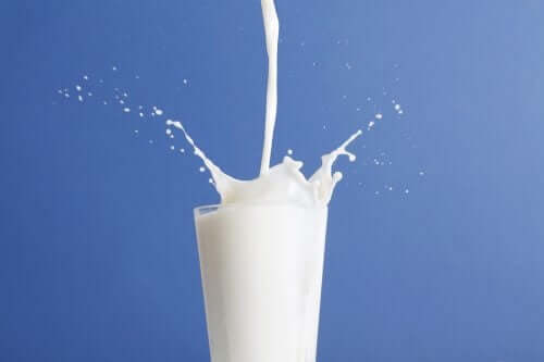 Volle melk versus magere melk: welke is beter?