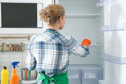 Milieuvriendelijke methoden om de koelkast te reinigen