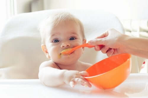 Hoe maak je gezonde maaltijden voor je baby?