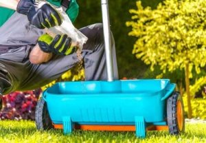 Natuurlijke ingrediënten om je planten te bemesten