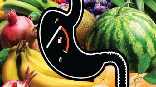 Een aantal soorten fruit en een verzadigingsmeter