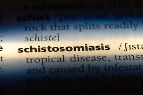 Wat is schistosomiasis en hoe krijg je dit?