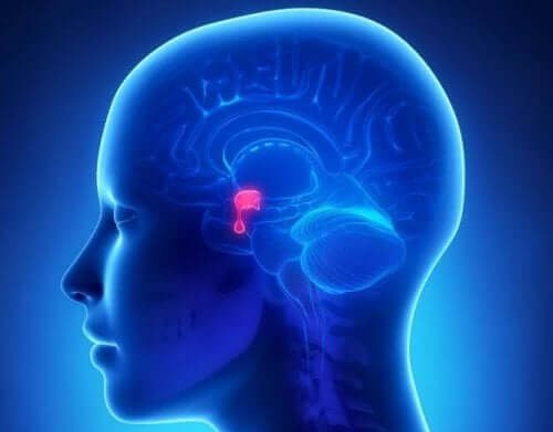 Soorten hypofyse-adenomen