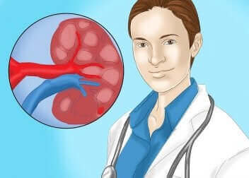Arts en een nier