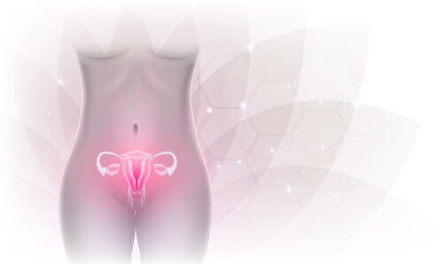 Wat is primaire ovariële insufficiëntie (POI)?