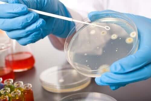 Onderzoek naar andere antimicrobiële middelen