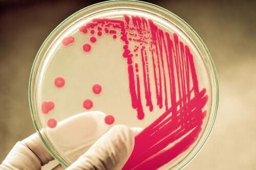Soorten antimicrobiële middelen