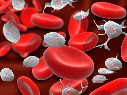 Risicofactoren voor postoperatieve bloedingen