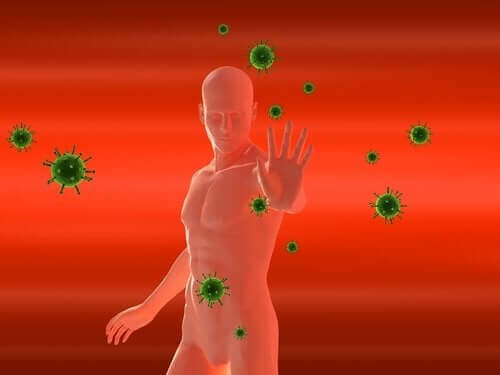 Immuunsysteem probeert virus te stoppen