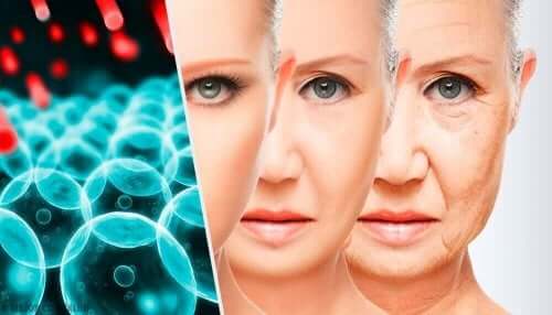 Het verouderingsproces