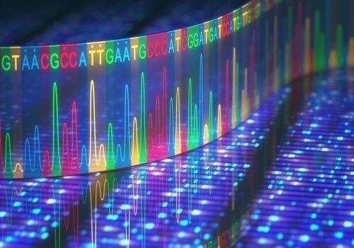 DNA in kleurtjes verdeeld