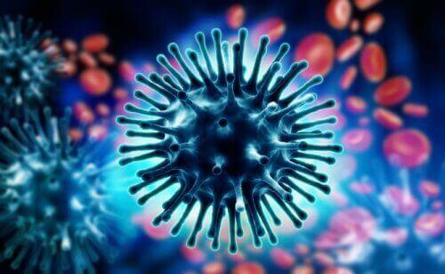 Beeld van het coronavirus