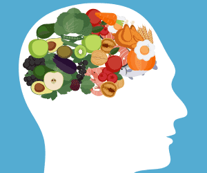 voeding voor de hersenen
