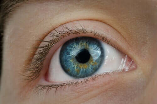 Een oog van dichtbij