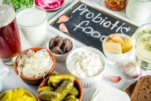 Wat is het verschil tussen prebiotica en probiotica?