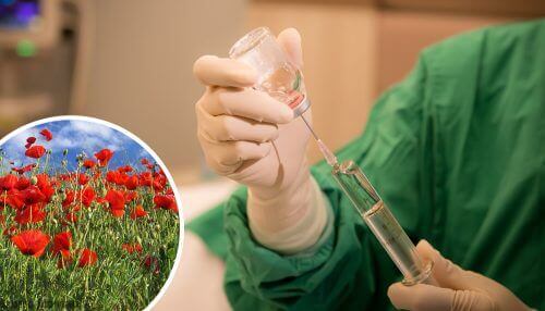 Opioïden in een reageerbuisje