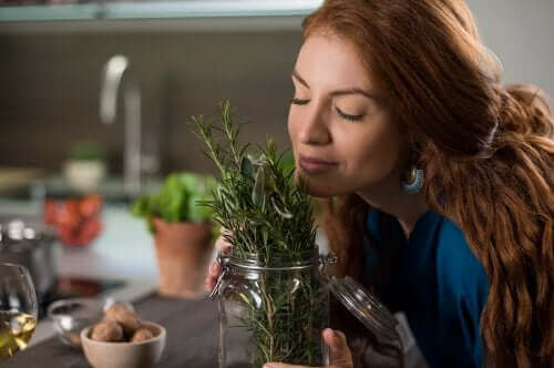 Rozemarijn voor gezond haar: drie remedies