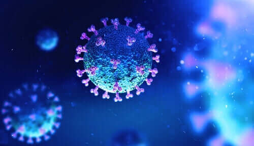 Er zijn verschillende stammen van het coronavirus