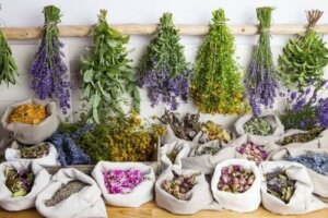 Wat zijn de voordelen van fytotherapie?