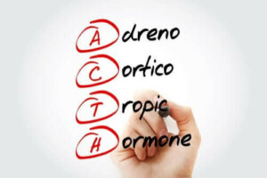 Kenmerken en effecten van corticotropine