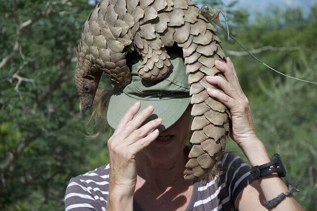 Vrouw met pangolin