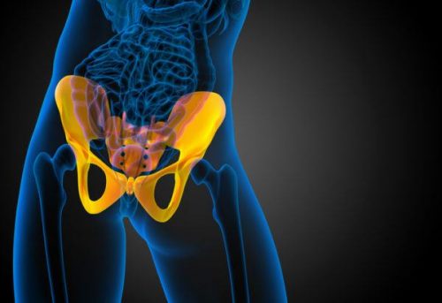 Afbeelding van de heupgewrichten