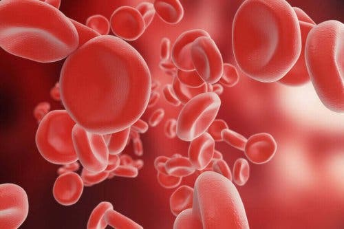 Een illustratie van rode bloedcellen