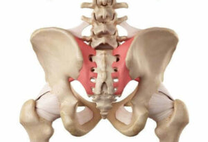 Wat is hypermobiliteit van het sacro-iliacaal gewricht?