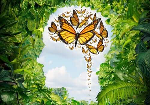 Een afbeelding van een hoofd met vlinders