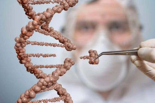 Een arts en DNA