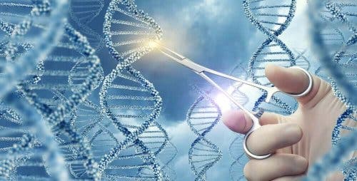 De pan-kanker genomische studie en DNA