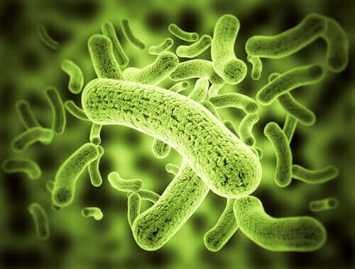 Een digitale weergave van bacteriën