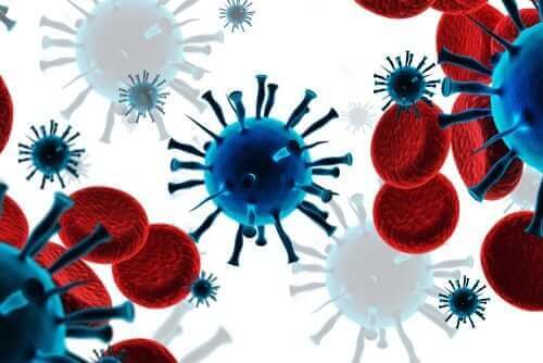 Het immuunsysteem en lymfocyten